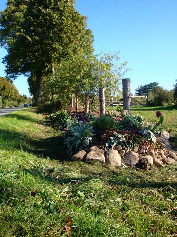 Gardening Journal Gartner Journal Garten Album Etsy