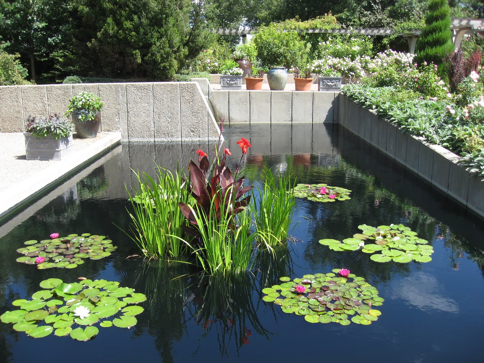 square+pond+at+Denver+Botanic+Garden.JPG (1600×1200) Plants, Pond, Botanical