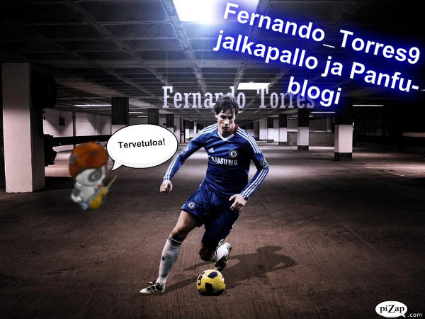 Fernando_Torres9:sin panfu blogi