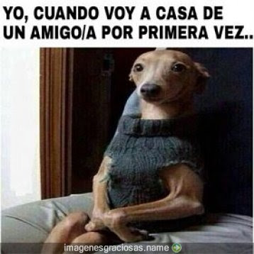 Resultado de imagen de imagenes de risas