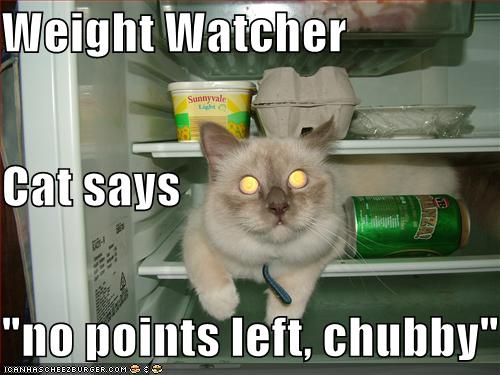 [Image: funny-pictures-weight-watcher-cat-fridge1.jpg]