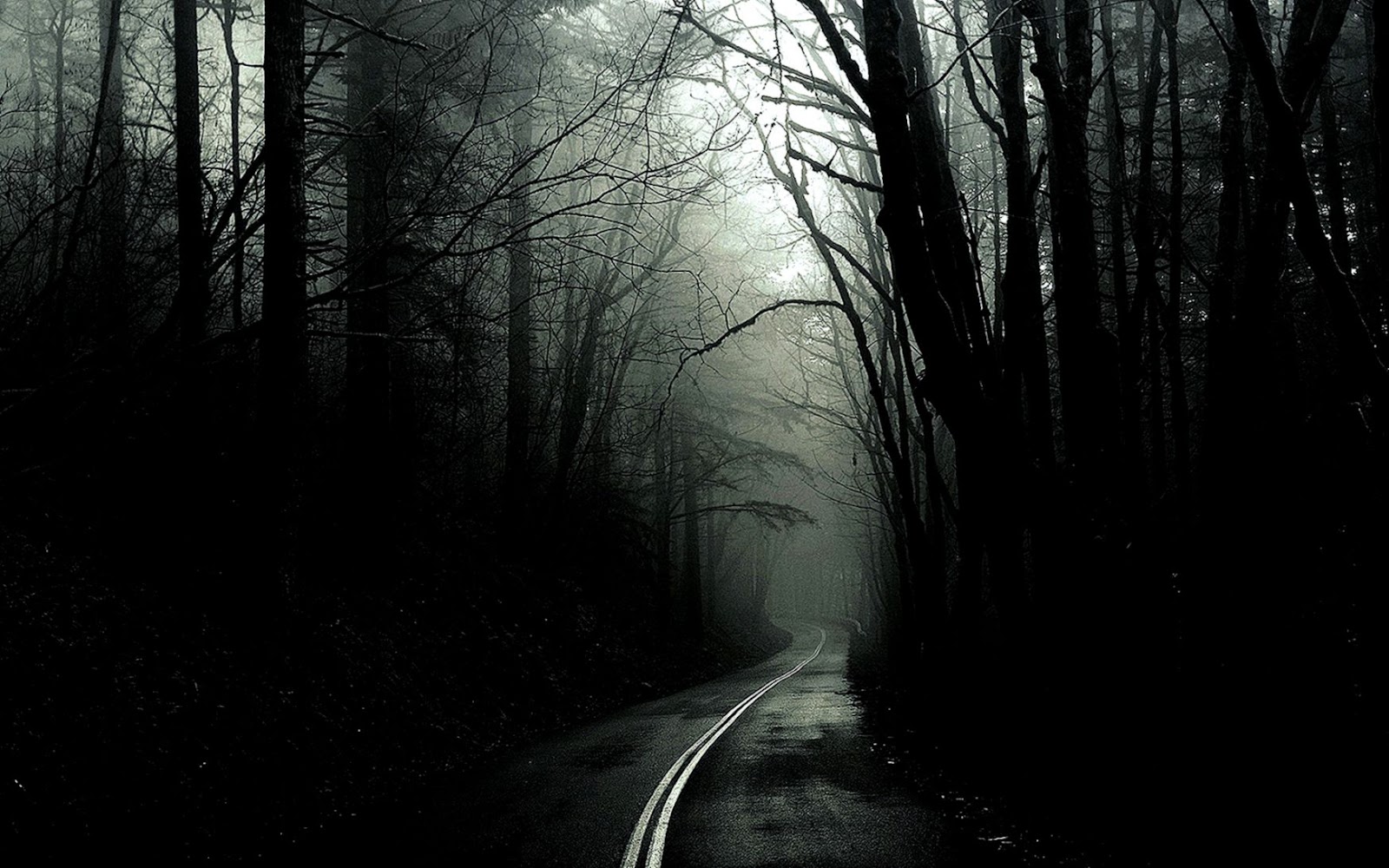 Dark Scary Forest Slender Man Dark Scary Forest Slender Man