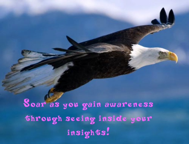 Bald Eagle Quotes