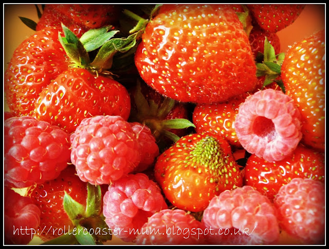 strawberry harvest grow your own strawberries