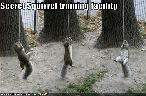 secret squirrel club