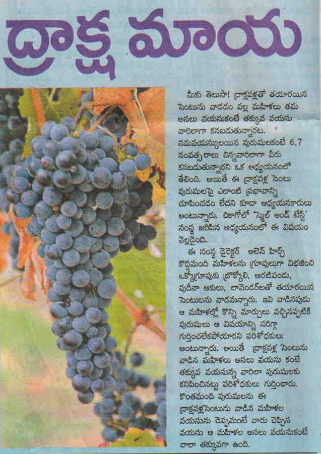 TELUGU WEB WORLD About the Fruit GRAPES in Telugu