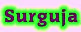 Surguja Recruitment 2013 www.surguja.nic.in ANM Staff Nurse Recruitment 2013 Application form Download 166 Jobs Vacancies NRHM Surguja ANM-89 Nursing 77 Posts