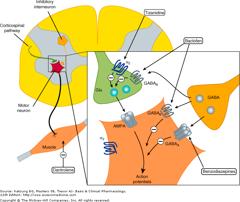 Can Lamotrigine Cause Alcoholics To Drink Can Lamotrigine Cause Alcoholics To Drink