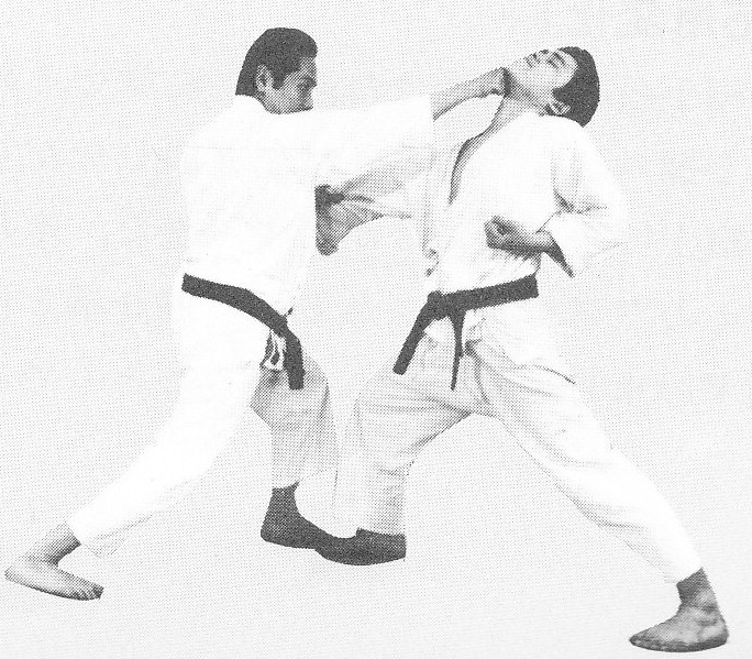 Traditional Taekwondo Ramblings Taekwondo Punch vs Boxing Punch