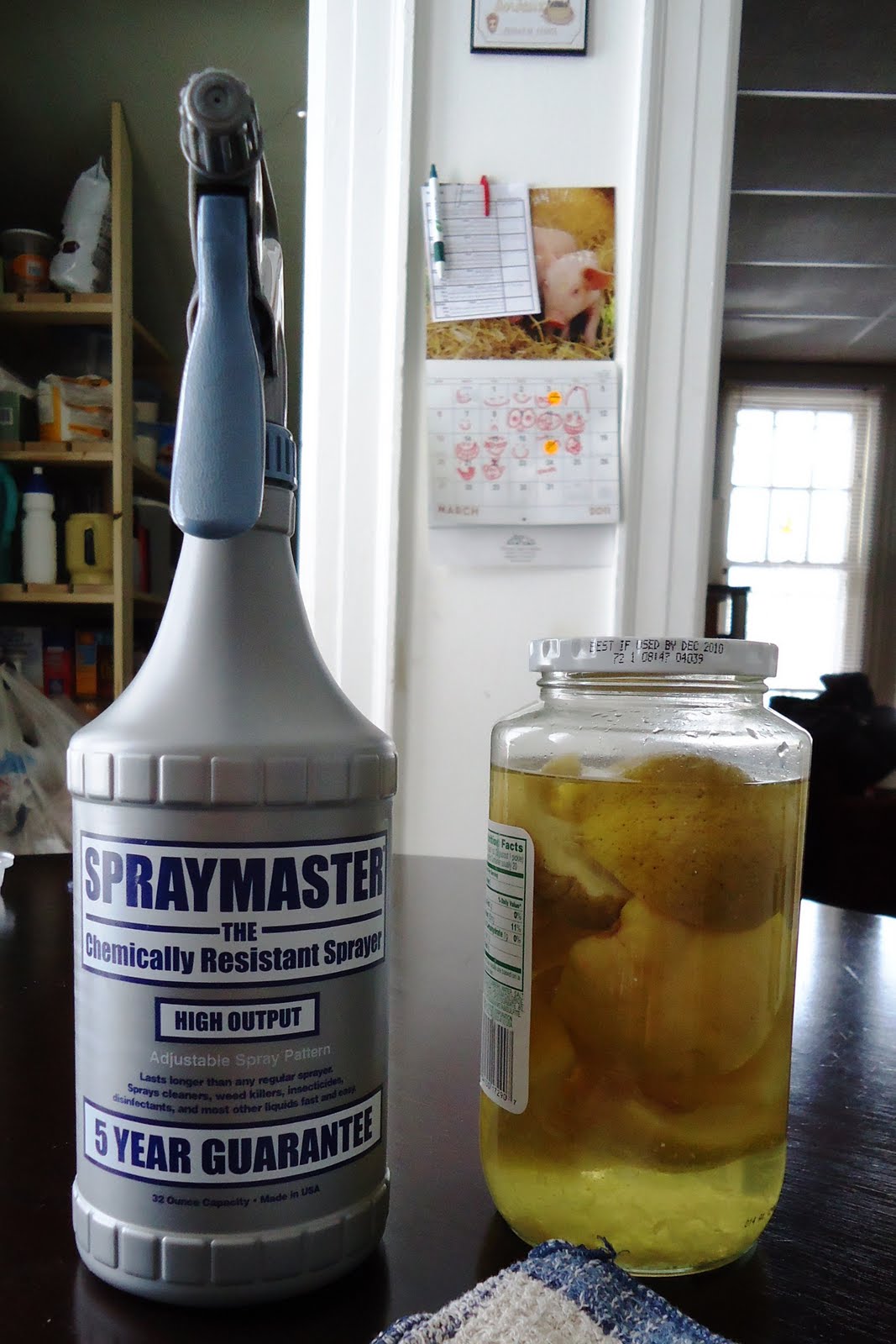 Homemade AllPurpose Cleaner LemonLime Vinegar