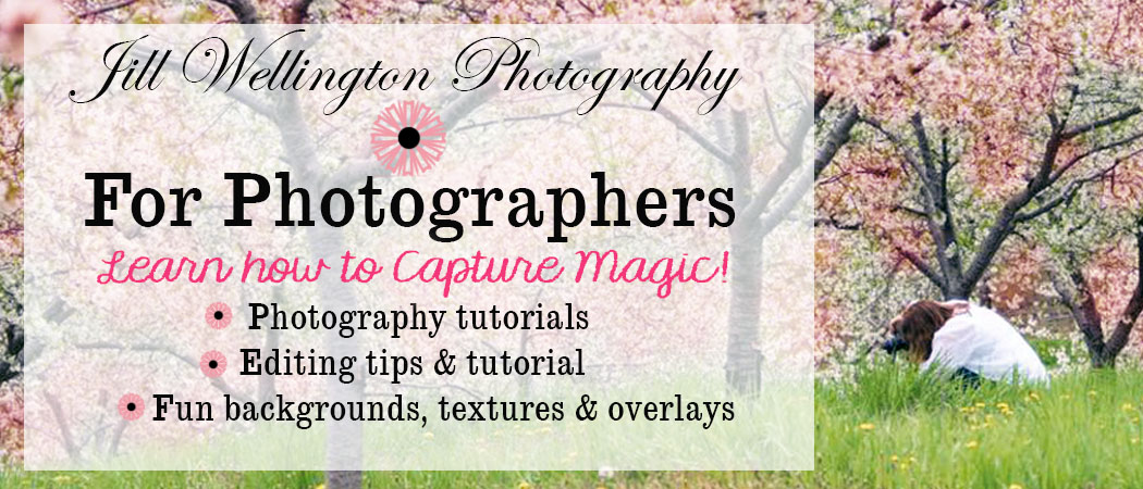 For Photographers
