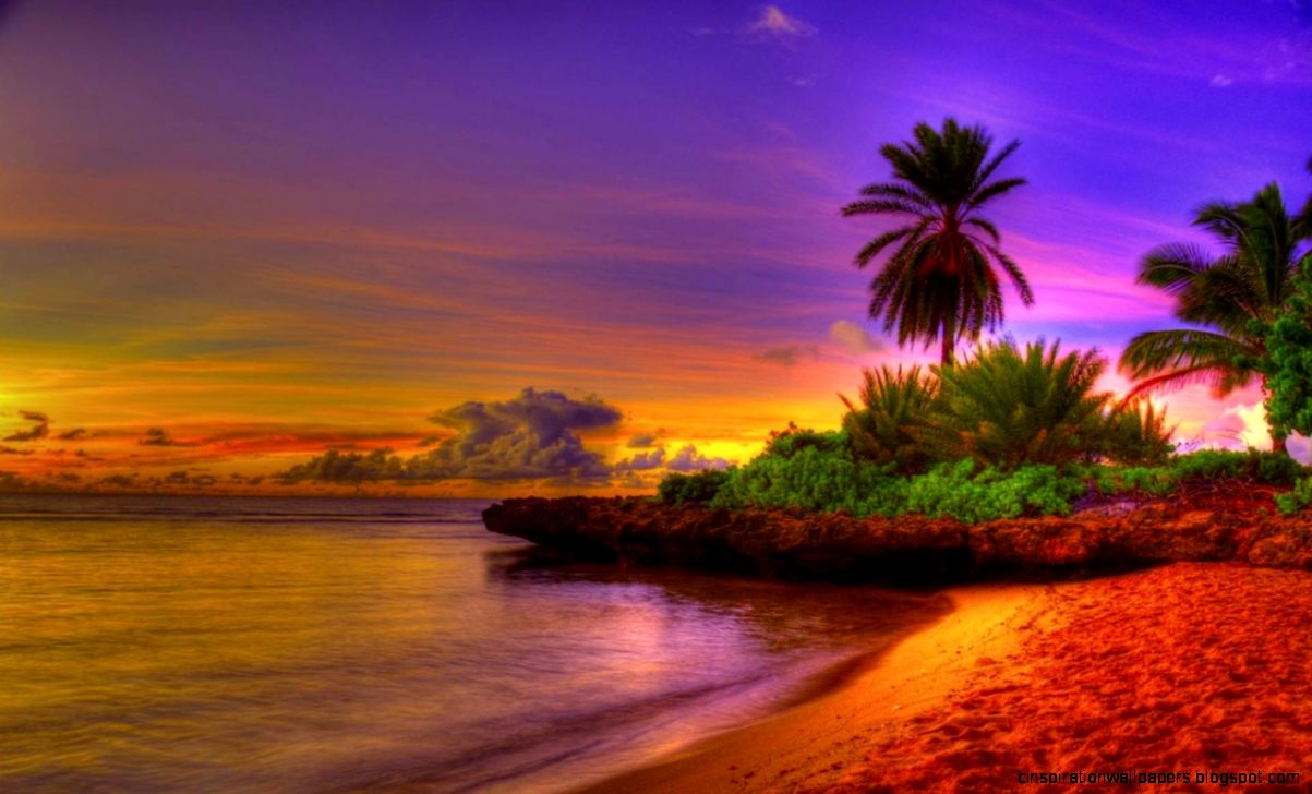 You can download Tropical Sunrise Wallpaper Desktop Pictures in your You can download Tropical Sunrise Wallpaper Desktop Pictures in your