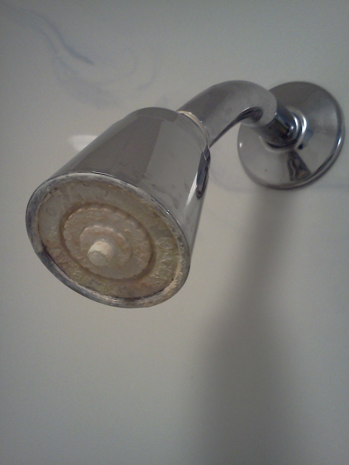 New Mommy 101 The Shower Head Clean at last