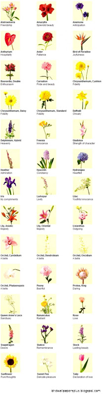 types of flowers pictures and names  Types of Flowers  wedding types of flowers pictures and names  Types of Flowers  wedding