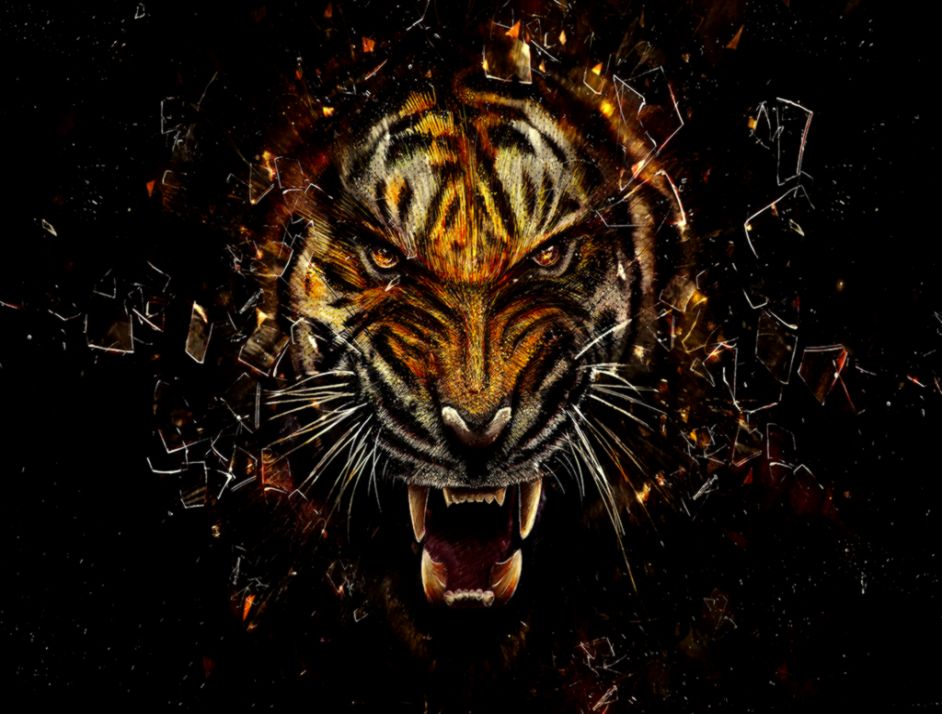 Face Tiger Art Cool Wallpapers Hd Background Wallpaper Gallery