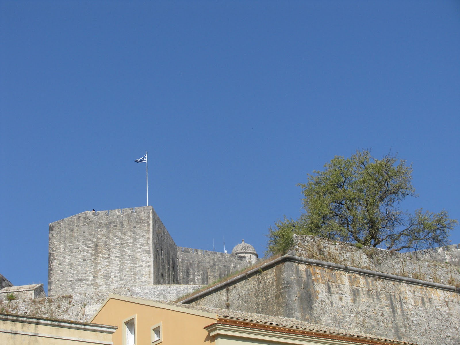 IMG_3421.JPG