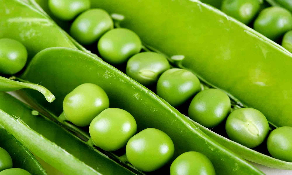 Fruits & Vegetables Benefits benefits of eating peas