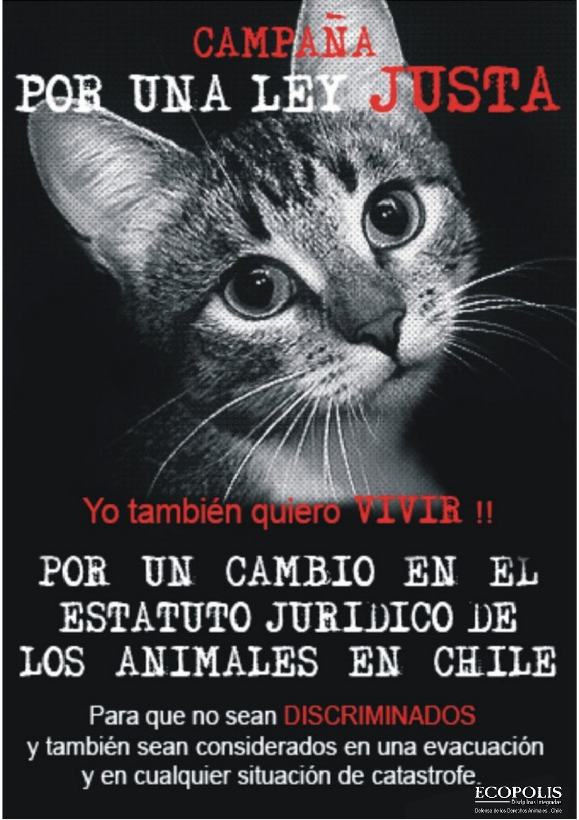 POR UN CAMBIO EN EL ESTATUTO JURÍDICO DE LOS ANIMALES EN CHILE