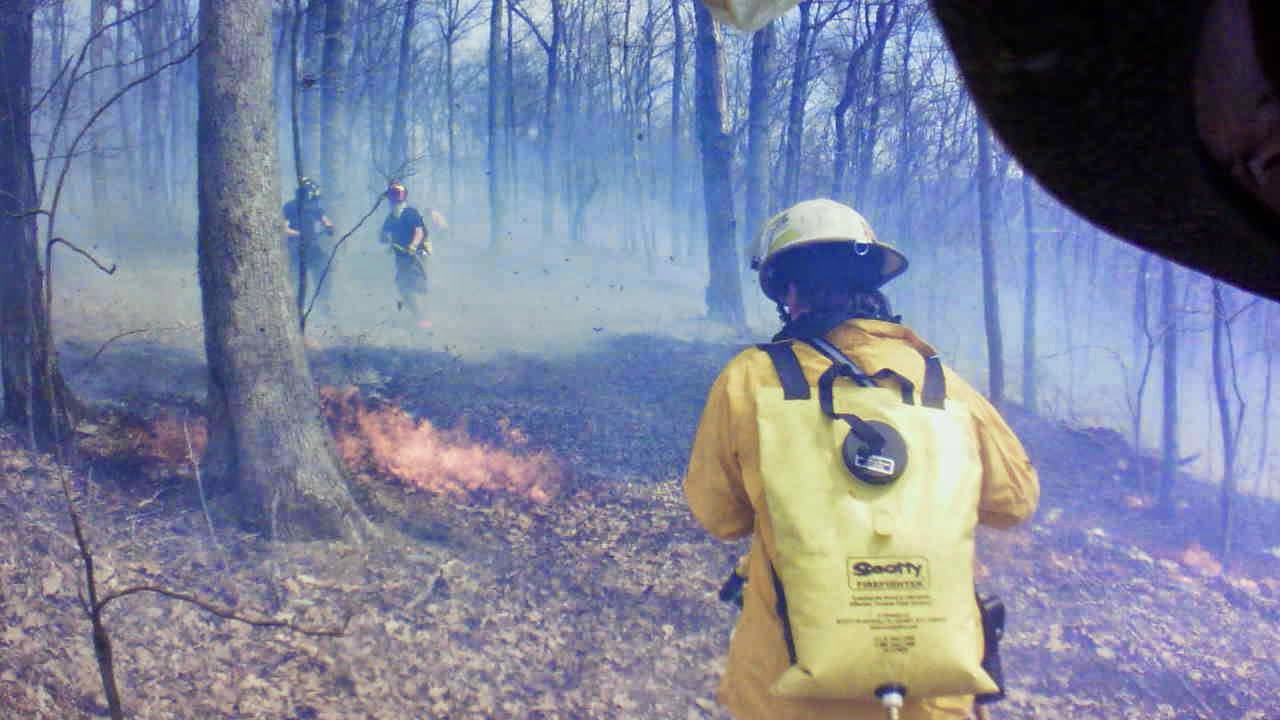 Tioga Fire Protection and Fire Prevention Massive Wildfire In Tioga