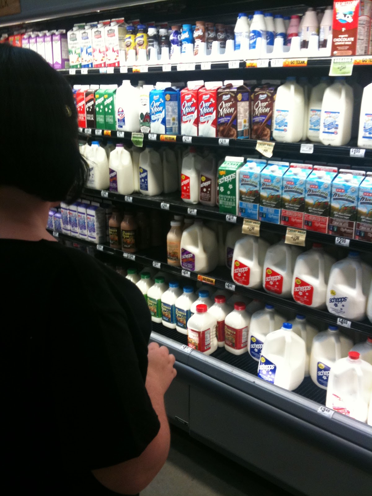 Macroeconomics AP Market Interaction / Circular Flow