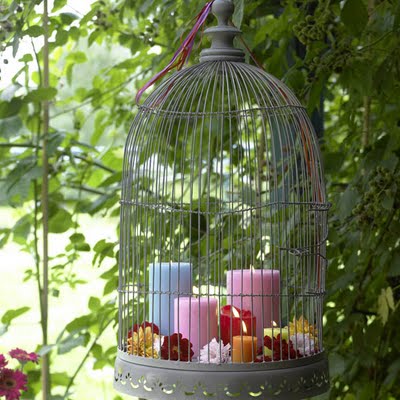 Craft 15 Interesting ideas to display Bird Cages