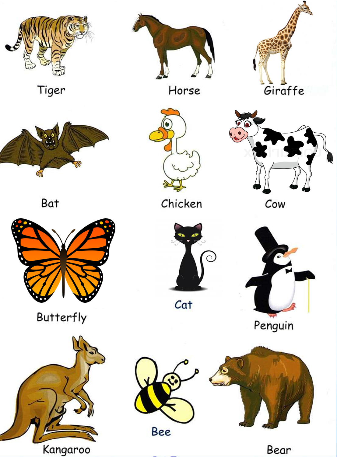 zebra animal em ingles zebra animal em ingles