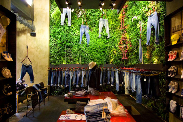 9 lindos jardins verticais de interior