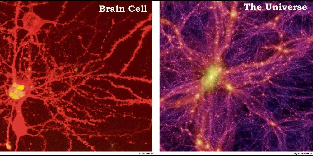 [Image: neuron-galaxy+-+a+side+by+side+comparison.jpg]