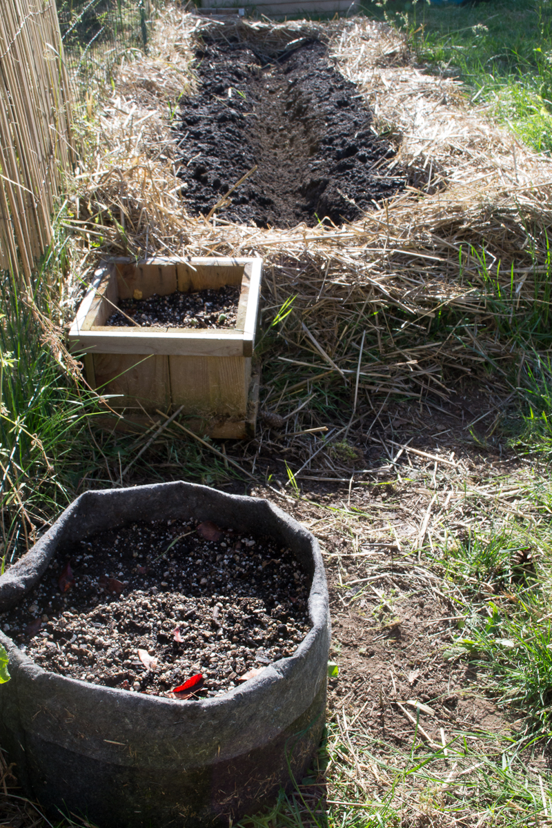 TRULY ORIGINAL ORGANICS Back yard Straw Garden