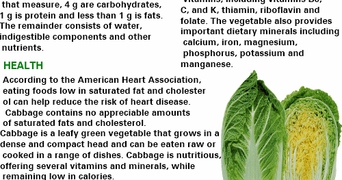 Chose1ofBest: Cabbage calories - The Secret about cappage calories