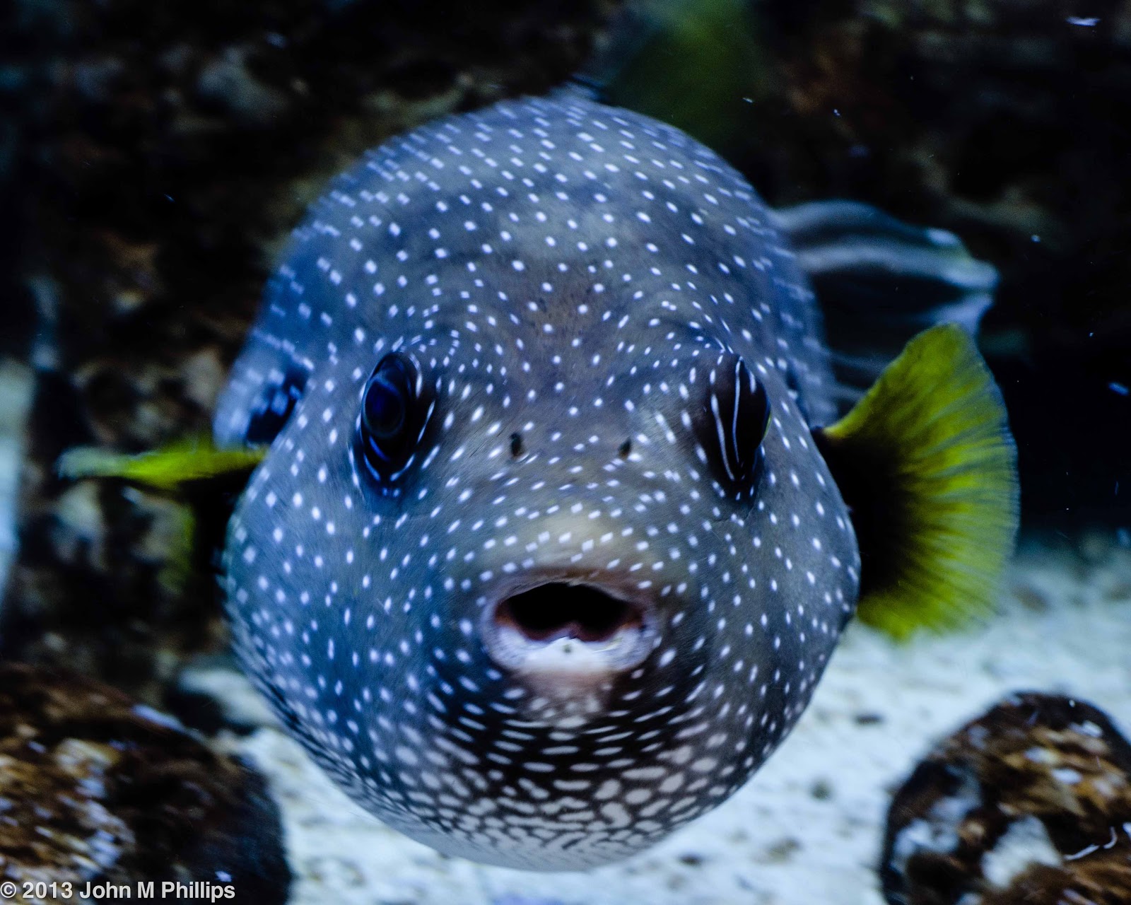 SKEPTIC PHOTO: WILDLIFE WORLD ZOO