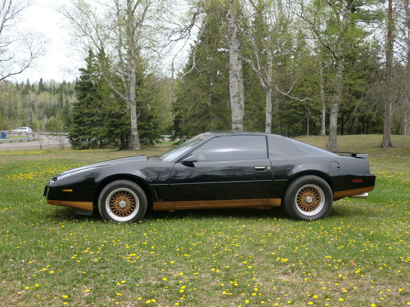 2024 Pontiac Trans AM 2024 Release Date, Price, Reviews, 2024 Trans