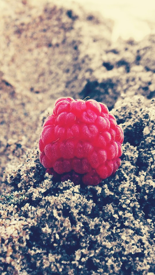 Red Raspberry HTC Macro  Android Best Wallpaper