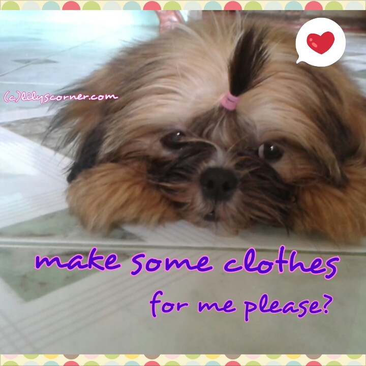 How to Make Clothes for Your Dog ♥ lily's corner ♥