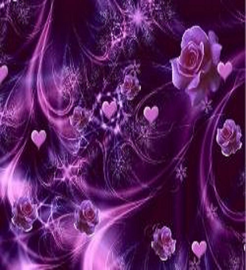 Beauty Flower: Purple Rose Color Meanings