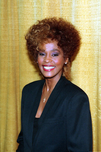 whitney; hair icon of century