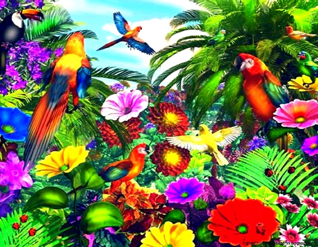 Forests Parrot Jungle Places Paintings Butterfly Designs Birds Forests Parrot Jungle Places Paintings Butterfly Designs Birds