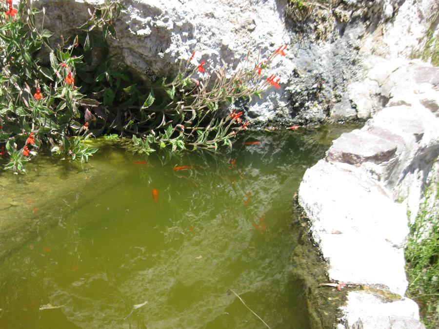 The 10day Route 66 Tour D7 Pics