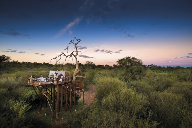 South Africa, Lion Sands, Sabis Sands Game Reserve, Chalkley Treehouse