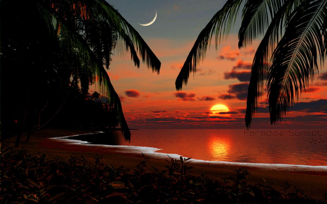 Tropical Sunset Wallpaper | Zoom Wallpapers