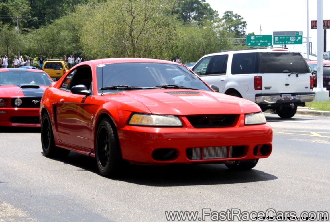 Mustang Sports Car Mustang Sports Car