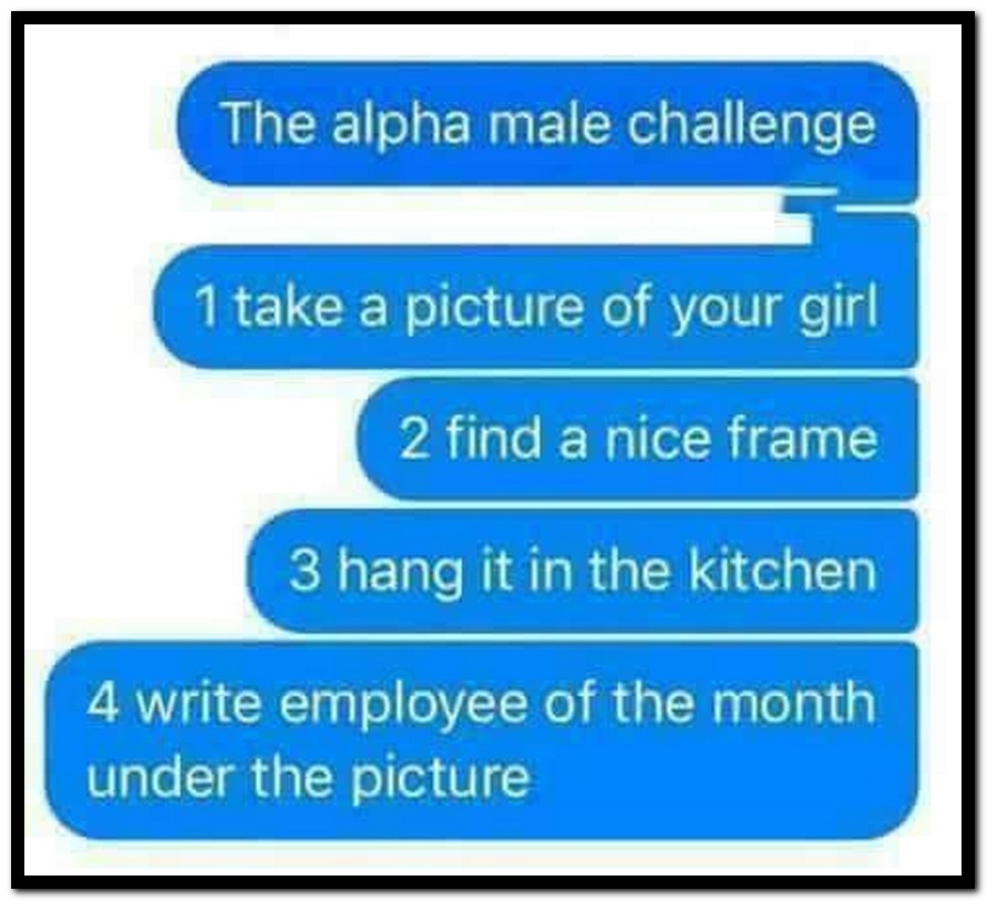 Taking quiz find alpha male