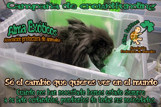  https://www.indiegogo.com/projects/alma-exotcos-ayuda-a-los-animales-mas-olvidados/x/8146268