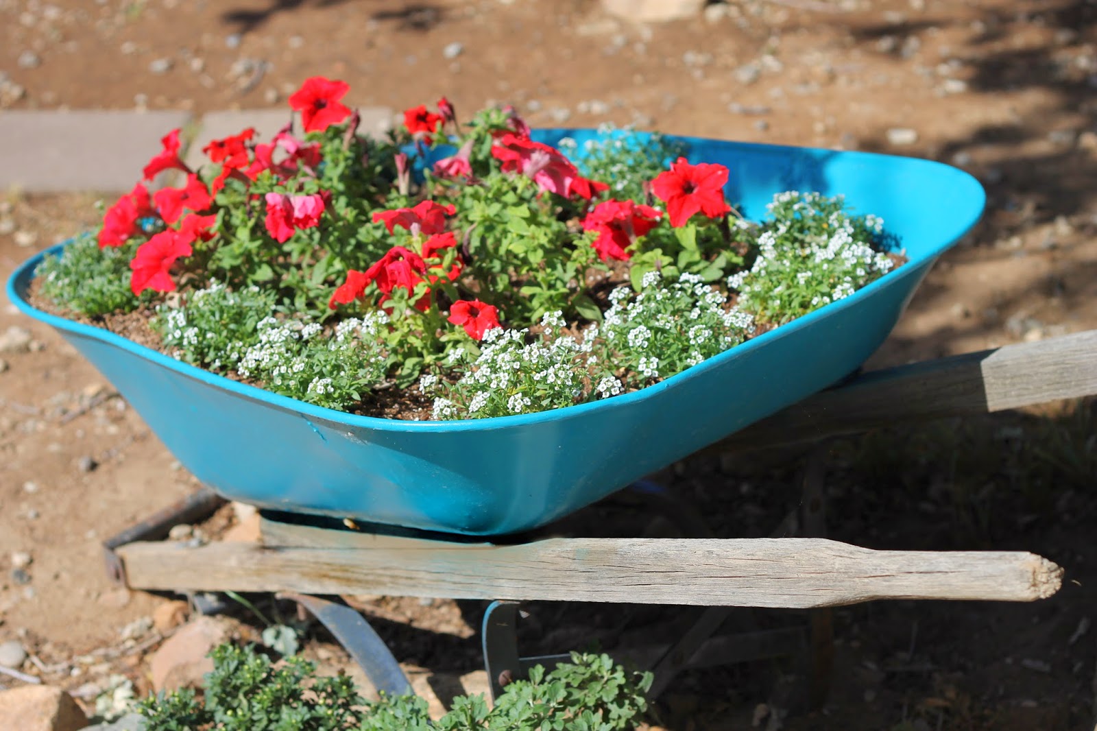 From the Carriage House Wheelbarrow Transformation