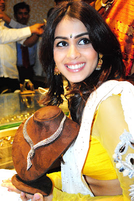 Actress Genelia In White Saree Photos Gallery