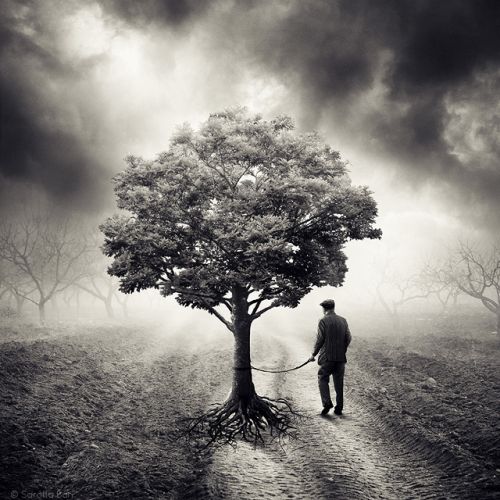 Sarolta Bán foto manipulação digital surreal mundos perdidos