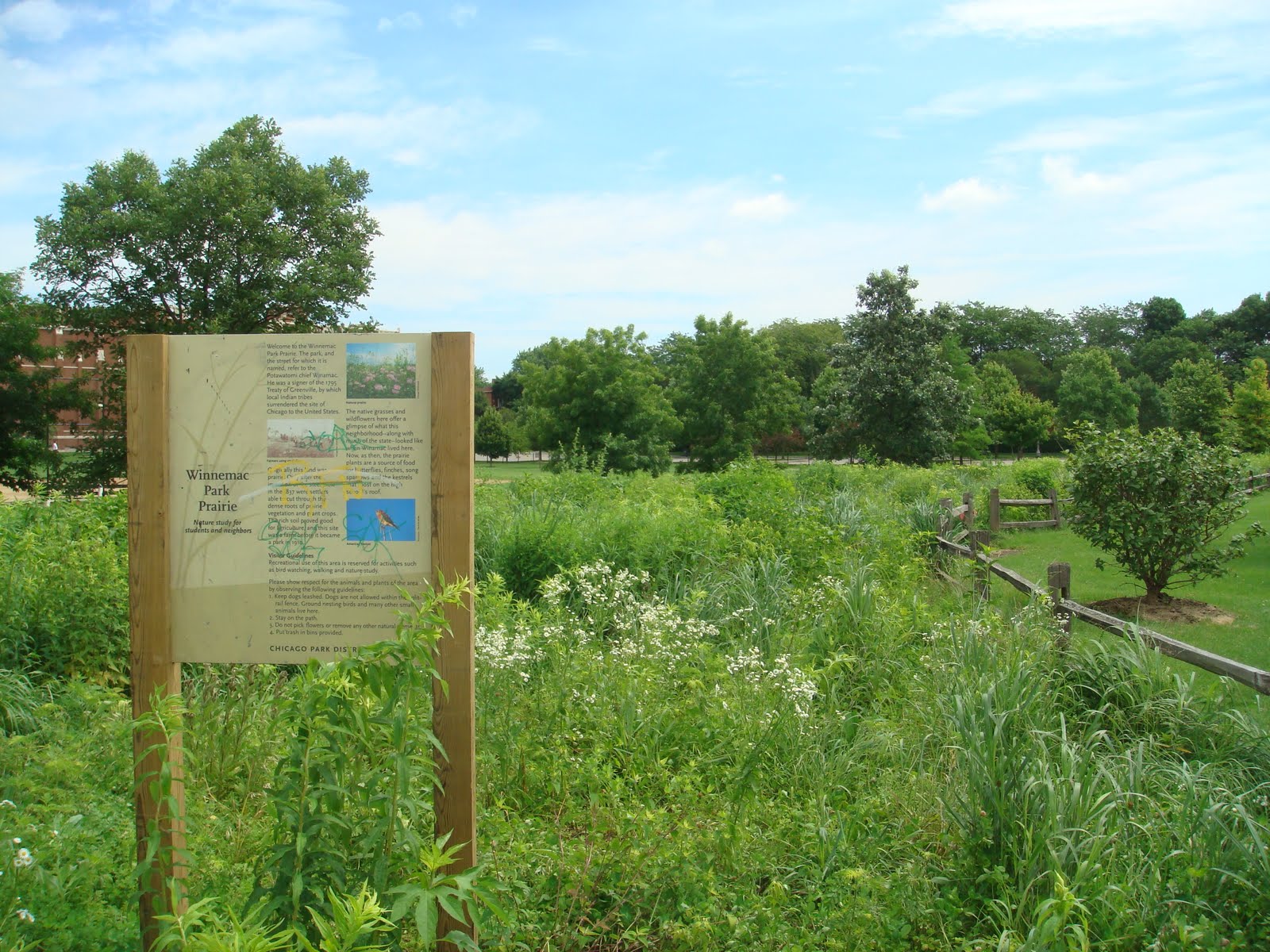 The Chicago Real Estate Local Watch the Video Ravenswood