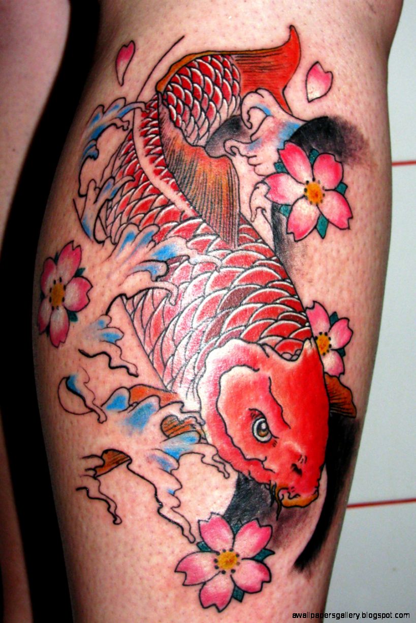 Japanese Koi Fish Tattoo Designs Tattoo Ideas Gallery amp Designs Japanese Koi Fish Tattoo Designs Tattoo Ideas Gallery amp Designs