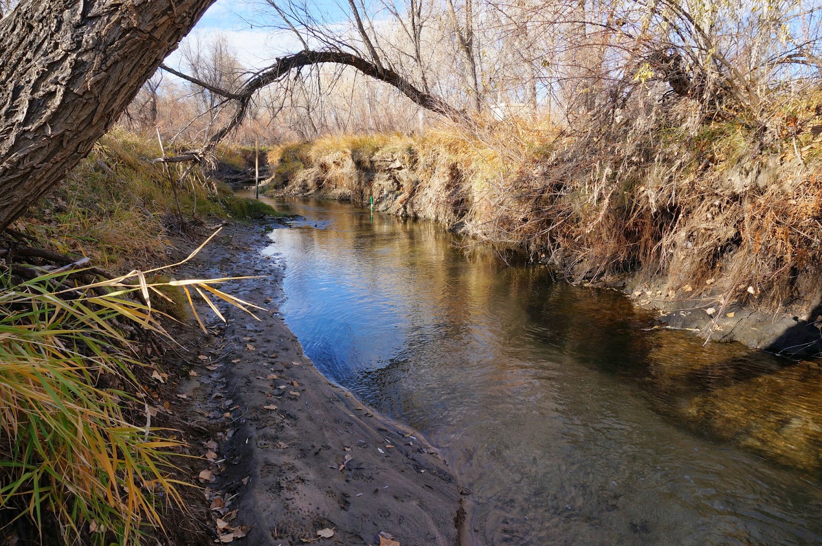 Go Hike Colorado Wetlands Preserve, Cherry Creek State Park