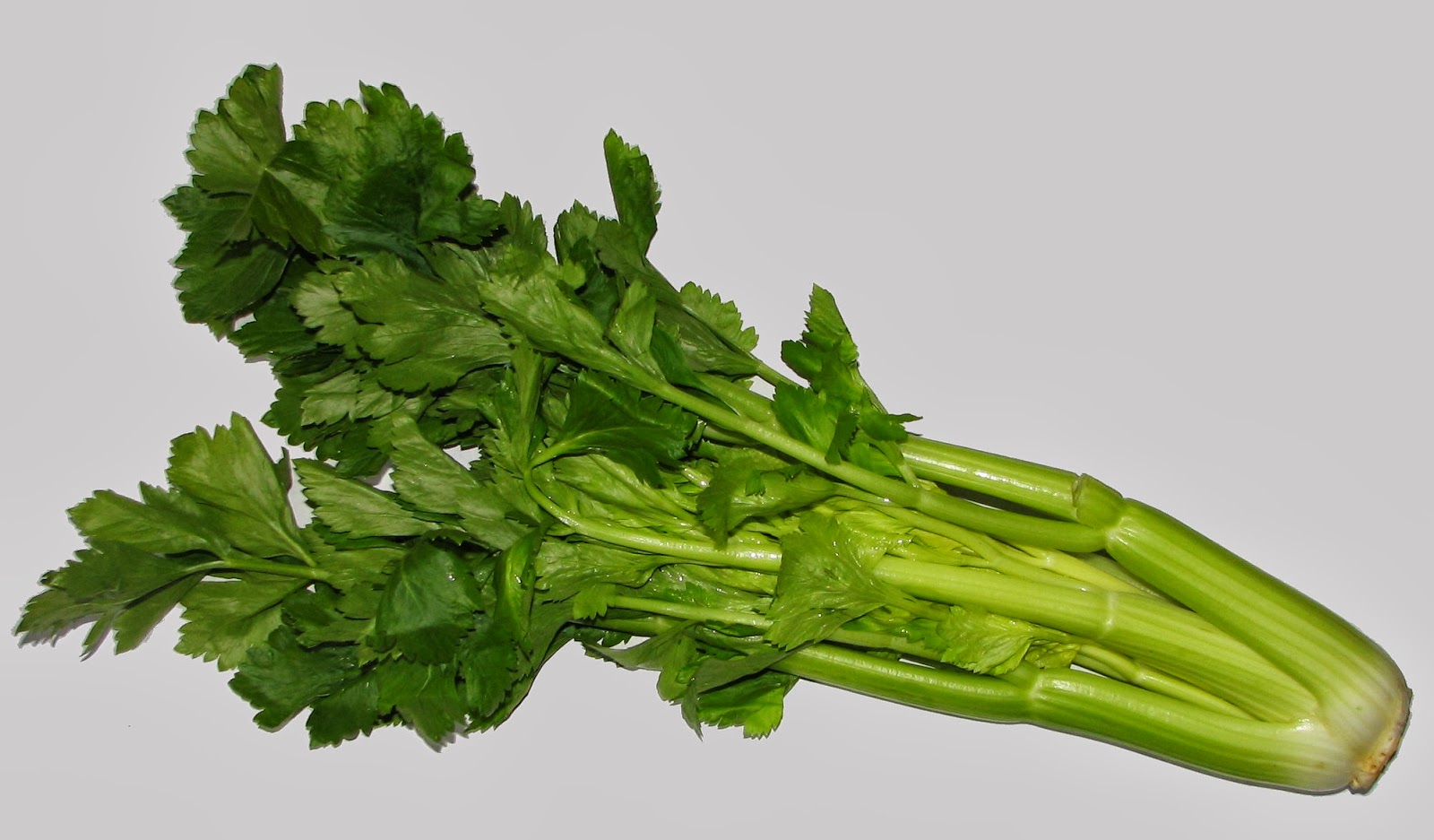 NEGATIVE CALORIE FOOD ( CELERY )